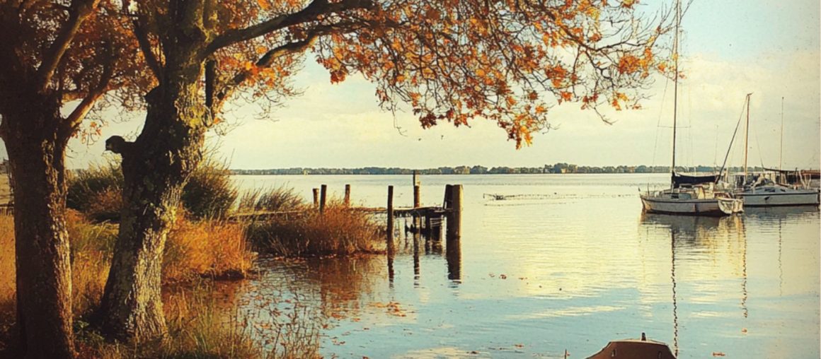 Le Bassin d'Arcachon en Toutes Saisons : Une Évasion Naturelle à bord du Jalilo