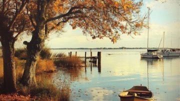 Le Bassin d'Arcachon en Toutes Saisons : Une Évasion Naturelle à bord du Jalilo